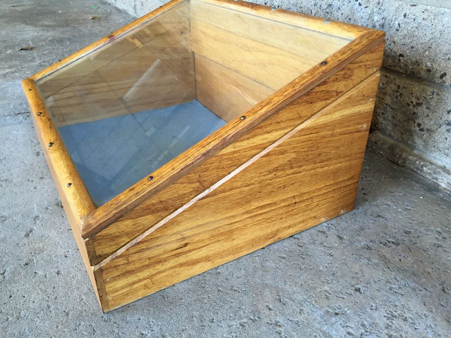 Vintage Table Top Slant-Top Display Case Marked Henry L. Hanson Co. Worcester, Mass. USA [Photo 8]