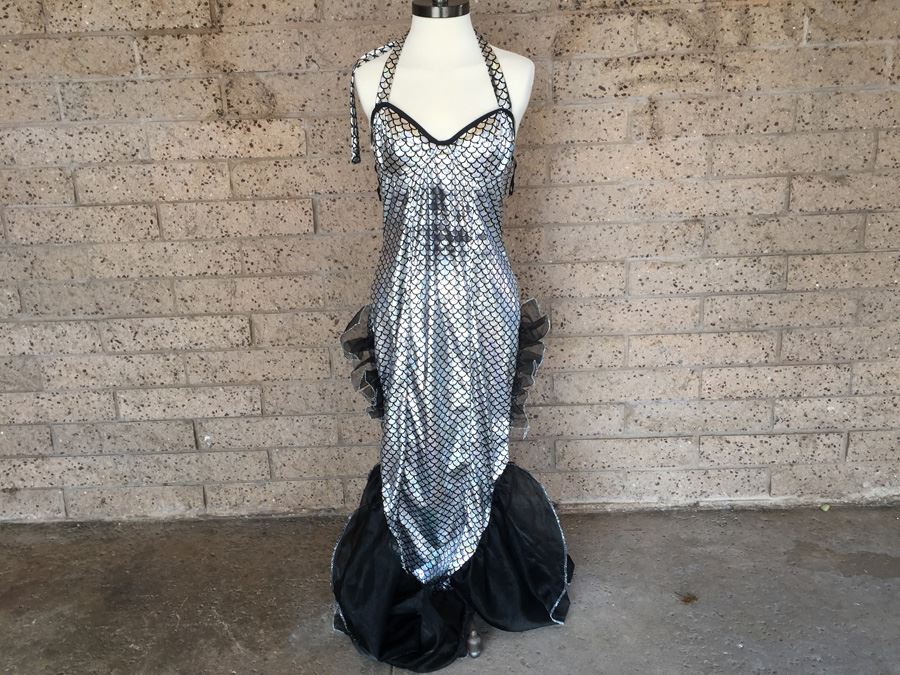 Silver Mermaid Style Costume Dress Full Length [Photo 1]