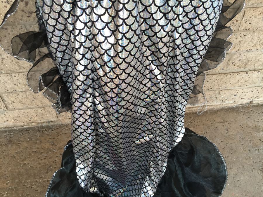 Silver Mermaid Style Costume Dress Full Length [Photo 4]