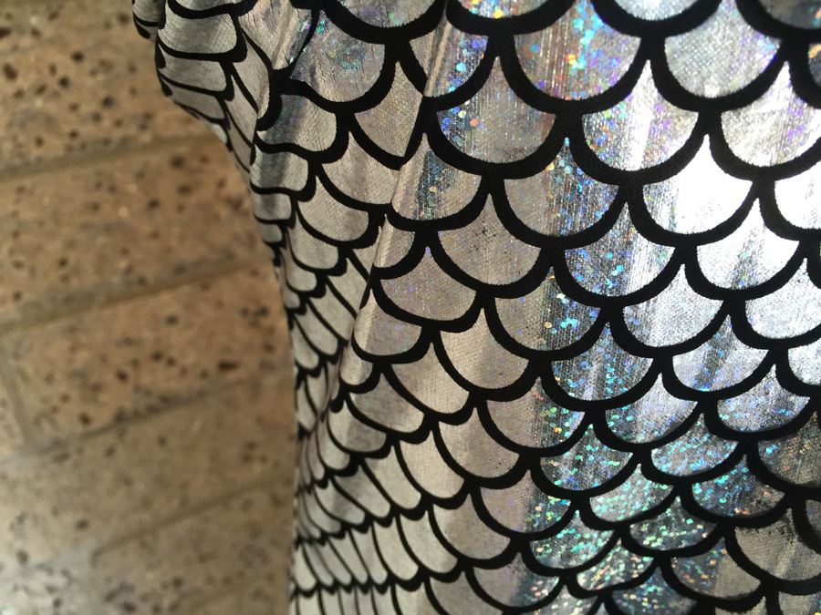 Silver Mermaid Style Costume Dress Full Length [Photo 5]