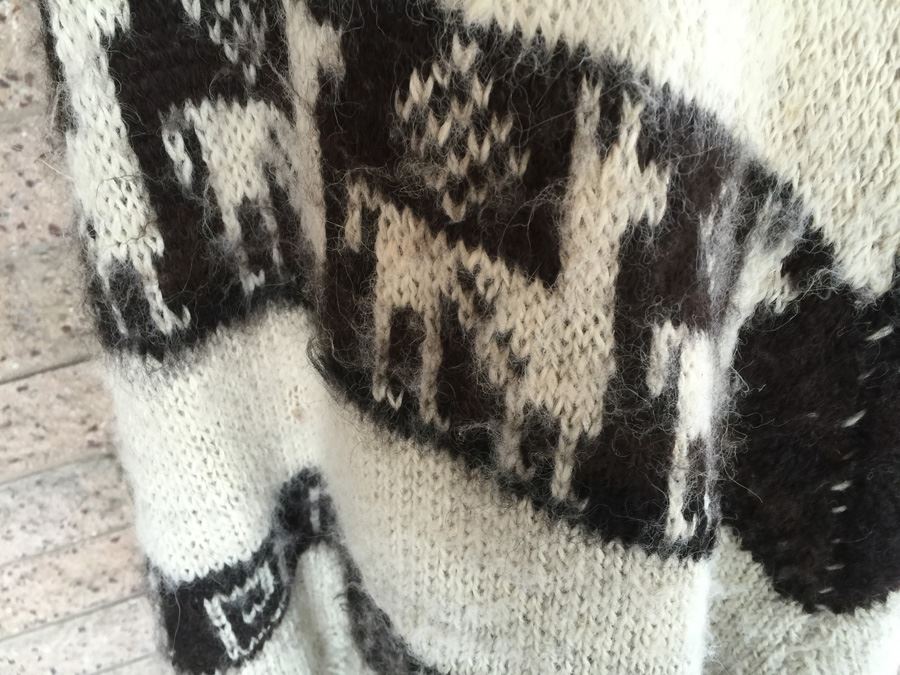 Poncho Style Sweater With Long Skirt [Photo 2]