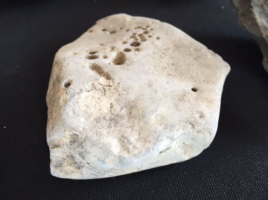 Large Collection Of Abalone Shells And Rocks [Photo 14]