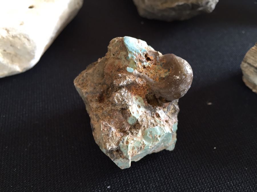 Large Collection Of Abalone Shells And Rocks [Photo 13]