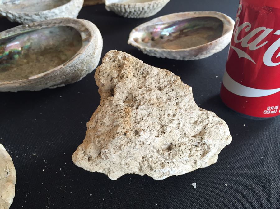 Large Collection Of Abalone Shells And Rocks [Photo 18]