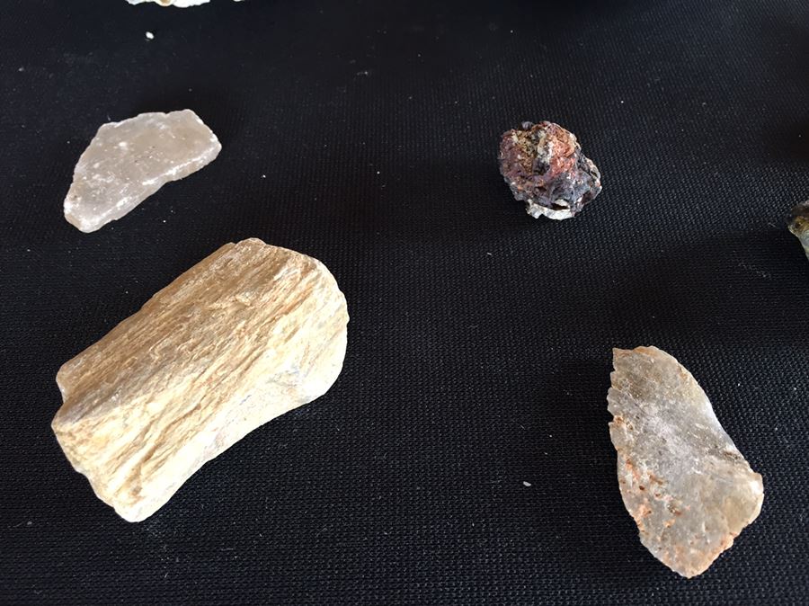 Large Collection Of Abalone Shells And Rocks [Photo 11]