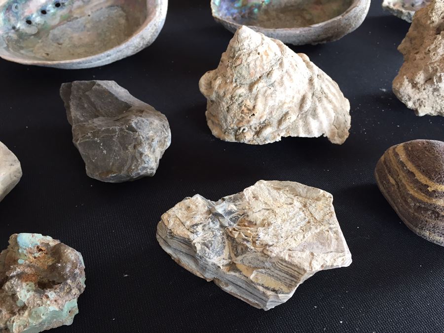 Large Collection Of Abalone Shells And Rocks [Photo 15]