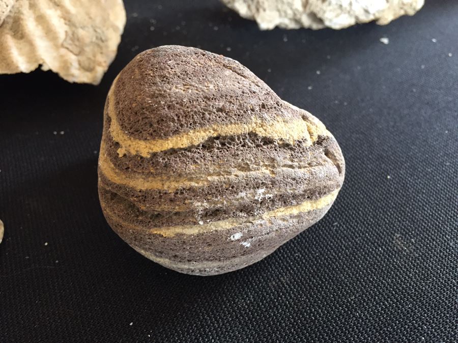 Large Collection Of Abalone Shells And Rocks [Photo 17]