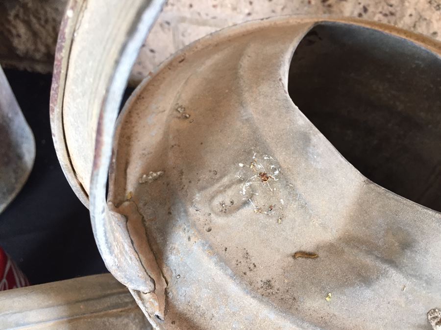 Vintage Galvanized Watering Can And Bucket With Lid [Photo 4]