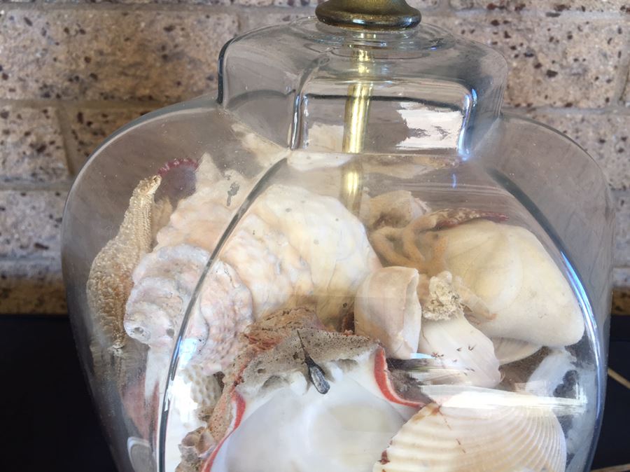 Pair Of Clear Glass Lamps Filled With Seashells [Photo 5]