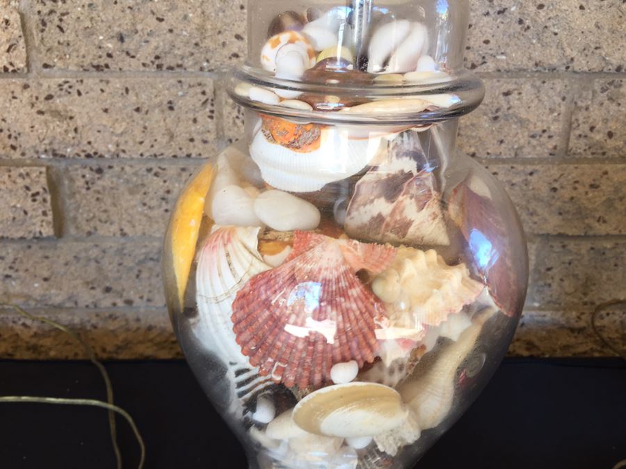 Pair Of Clear Glass Lamps Filled With Seashells [Photo 14]