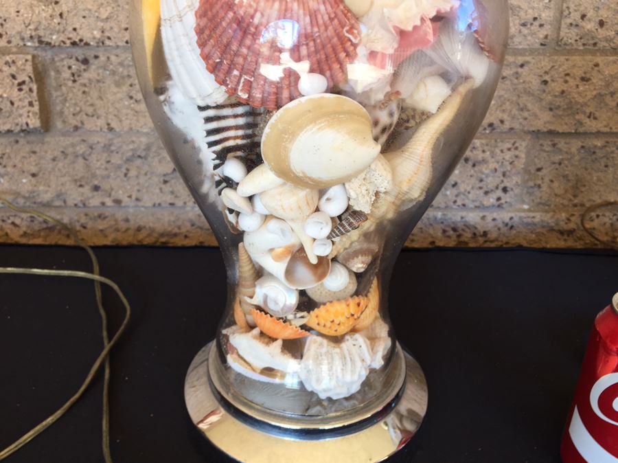 Pair Of Clear Glass Lamps Filled With Seashells [Photo 15]