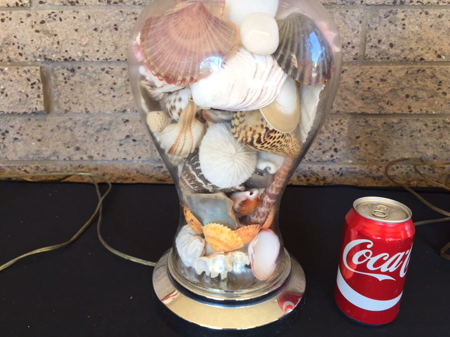 Pair Of Clear Glass Lamps Filled With Seashells [Photo 12]