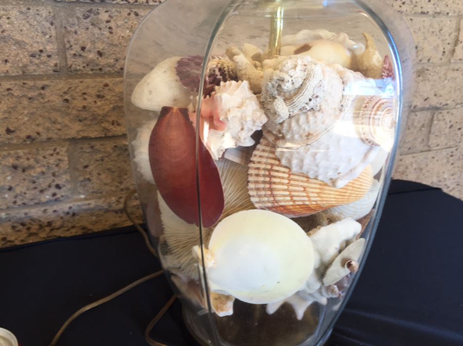 Pair Of Clear Glass Lamps Filled With Seashells [Photo 10]