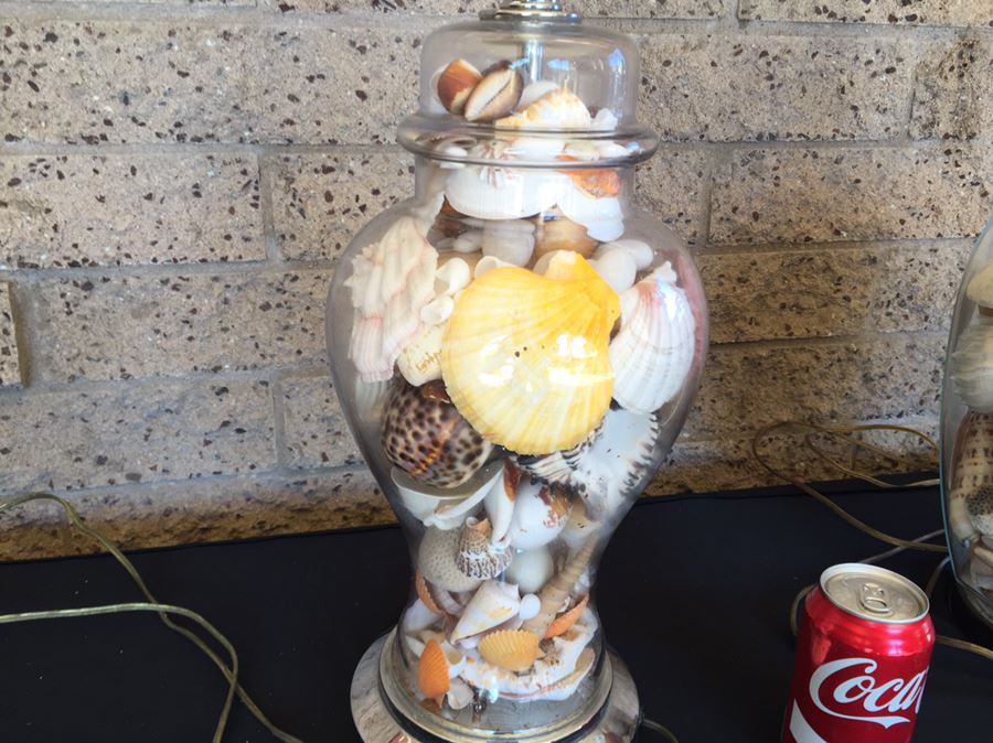 Pair Of Clear Glass Lamps Filled With Seashells [Photo 16]