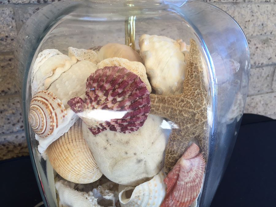 Pair Of Clear Glass Lamps Filled With Seashells [Photo 8]