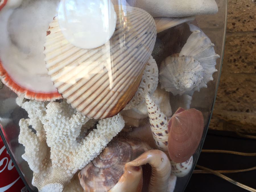 Pair Of Clear Glass Lamps Filled With Seashells [Photo 3]