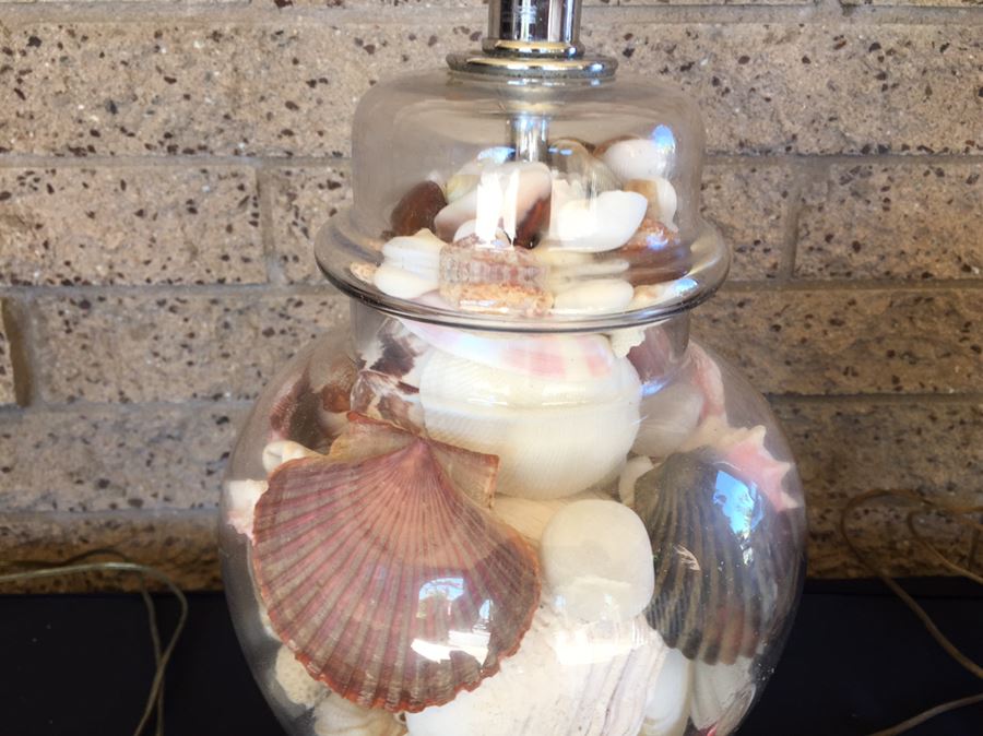 Pair Of Clear Glass Lamps Filled With Seashells [Photo 11]
