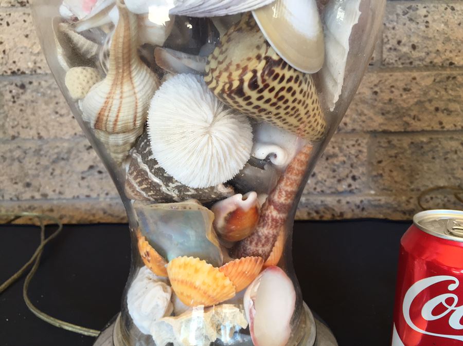 Pair Of Clear Glass Lamps Filled With Seashells [Photo 13]