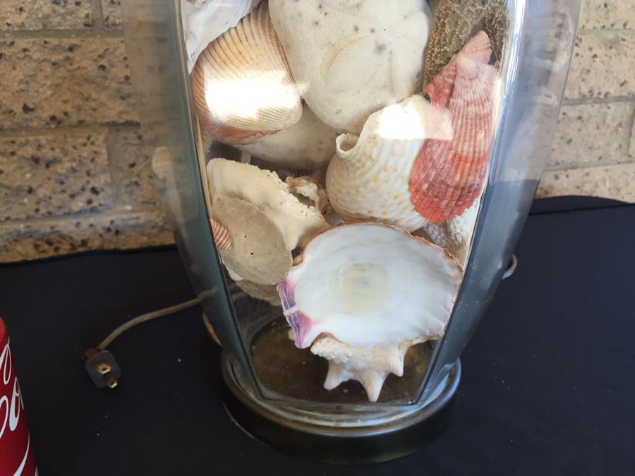 Pair Of Clear Glass Lamps Filled With Seashells [Photo 9]