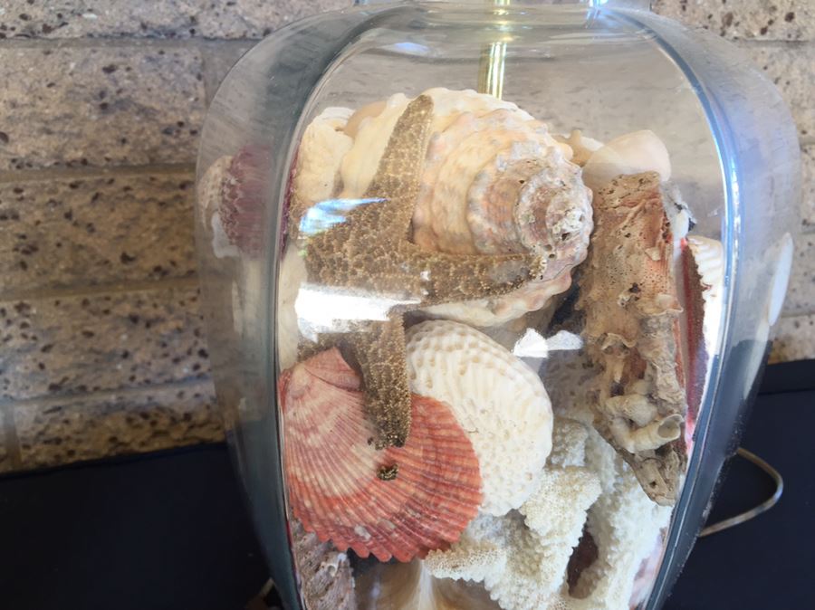 Pair Of Clear Glass Lamps Filled With Seashells [Photo 7]