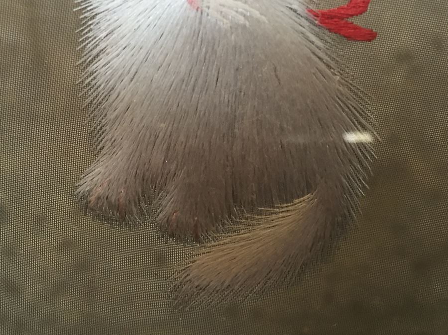 Signed Vintage Chinese Cat Silk Embroidery Displayed In Nice Rosewood Stand [Photo 5]