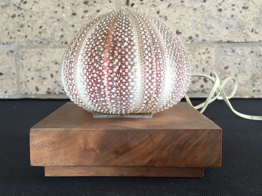 Sea Urchin Lamp [Photo 5]