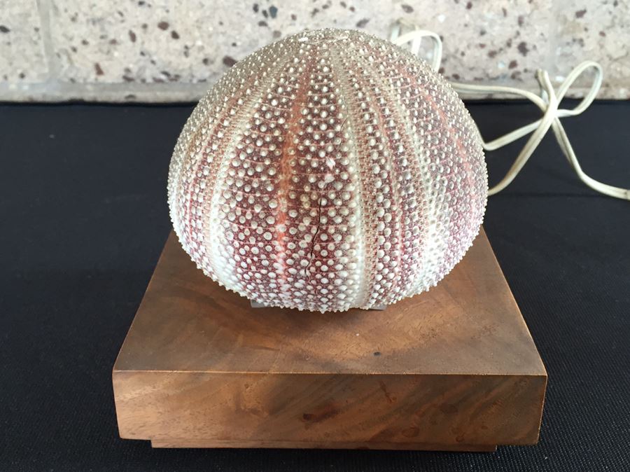 Sea Urchin Lamp [Photo 2]