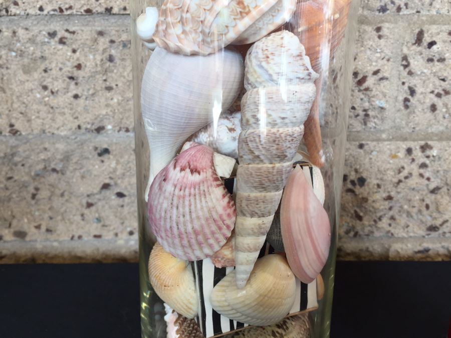 Lidded Glass Bottle Filled With Seashells [Photo 4]