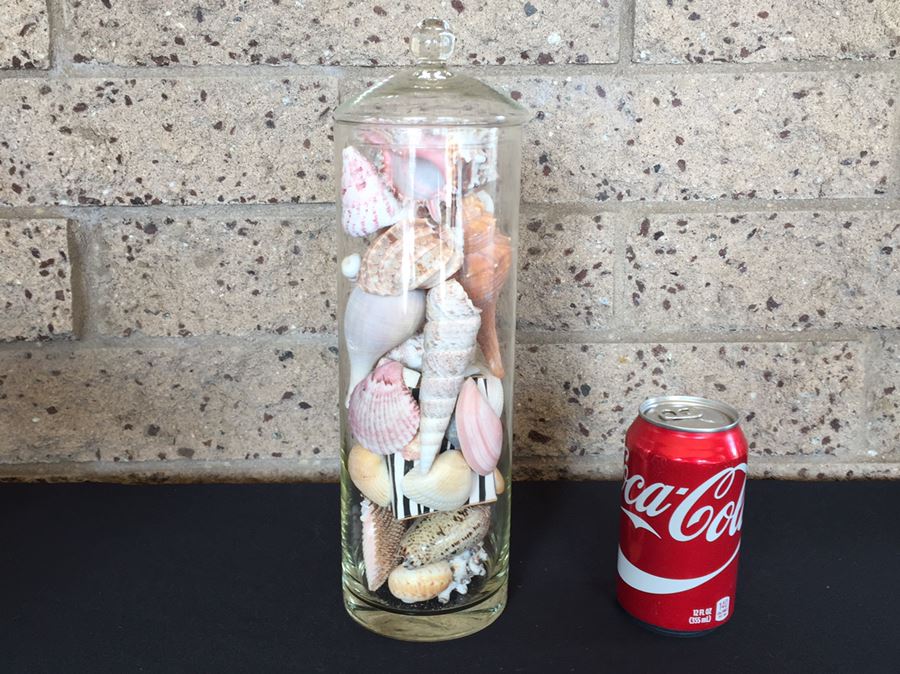 Lidded Glass Bottle Filled With Seashells