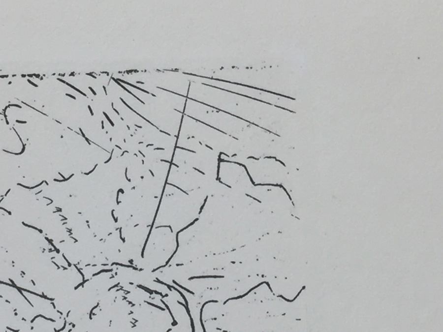 Salvador Dali Original Etching Titled 'El Cid' With Certificate Of Authenticity [Photo 7]