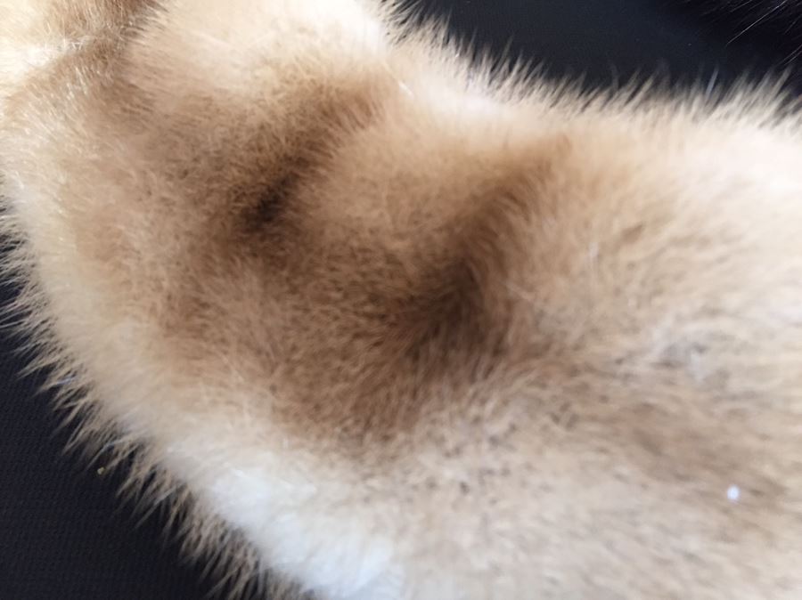 Fur Stoles And Headband Lot [Photo 3]