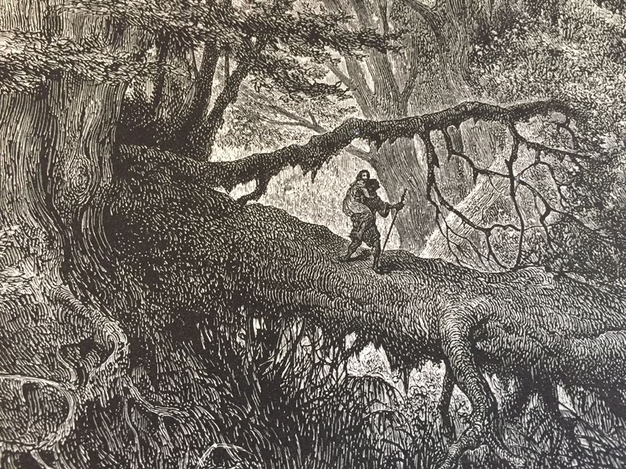 Impressive Large Book Atala by Chateaubriand Gustave DORE Plates Native American Indians FOLIO [Photo 11]