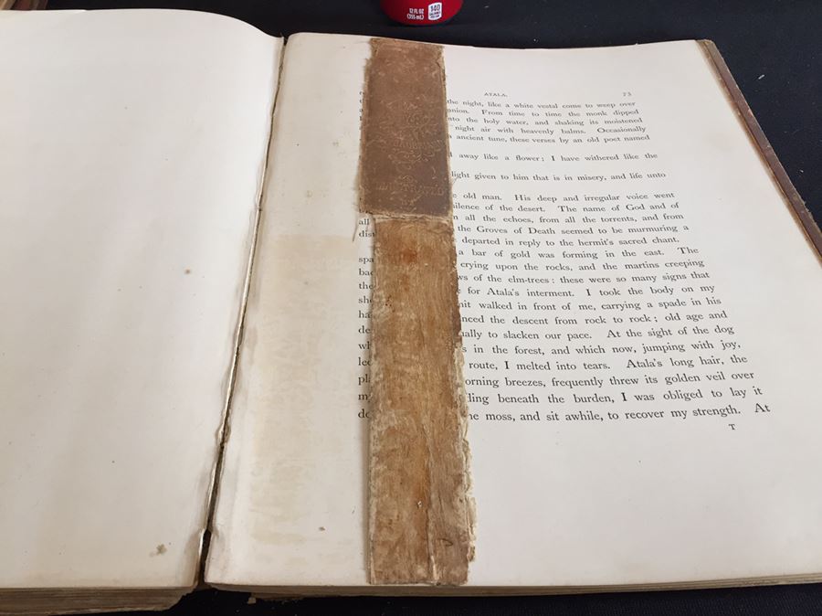 Impressive Large Book Atala by Chateaubriand Gustave DORE Plates Native American Indians FOLIO [Photo 13]