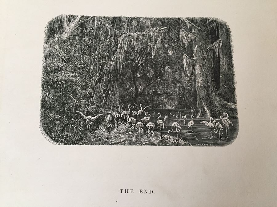 Impressive Large Book Atala by Chateaubriand Gustave DORE Plates Native American Indians FOLIO [Photo 15]