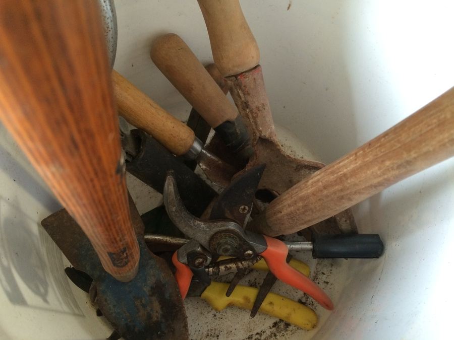 Grilling and Gardening Lot [Photo 5]