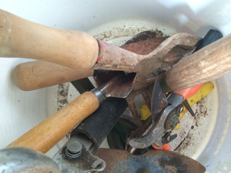 Grilling and Gardening Lot [Photo 6]