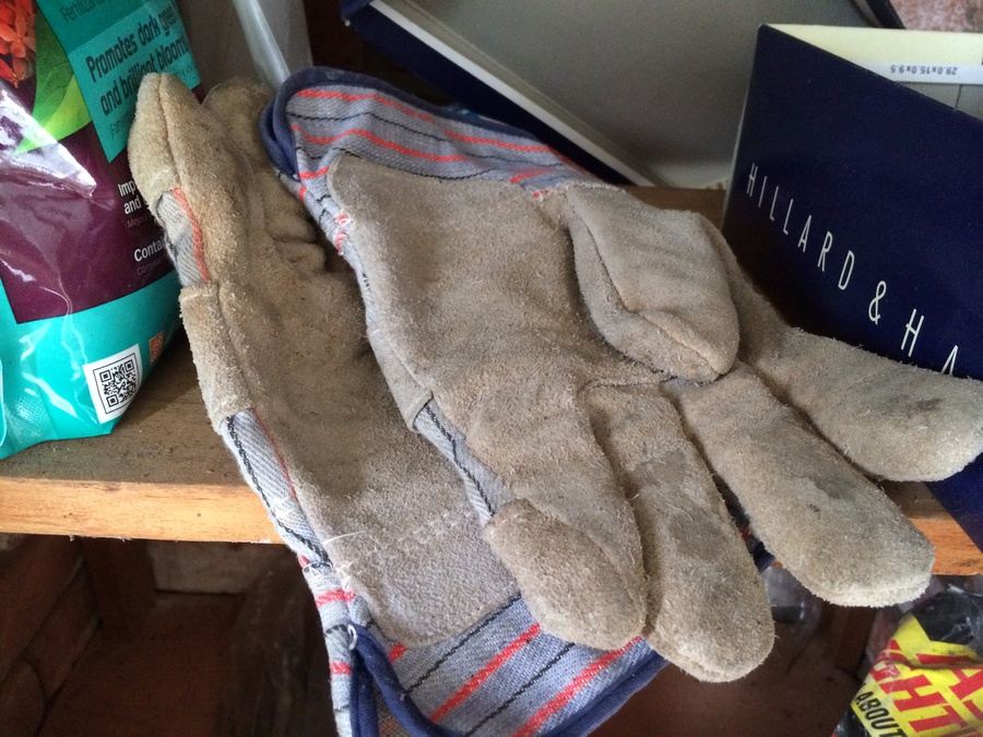 Grilling and Gardening Lot [Photo 17]