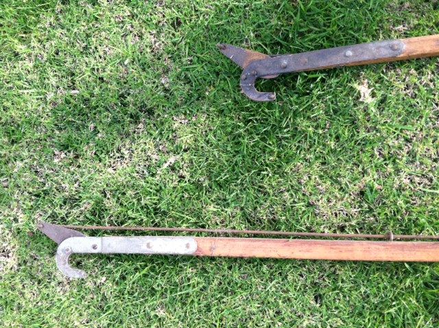 Vintage Tree Trimmers [Photo 3]