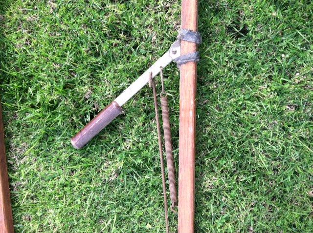 Vintage Tree Trimmers [Photo 2]