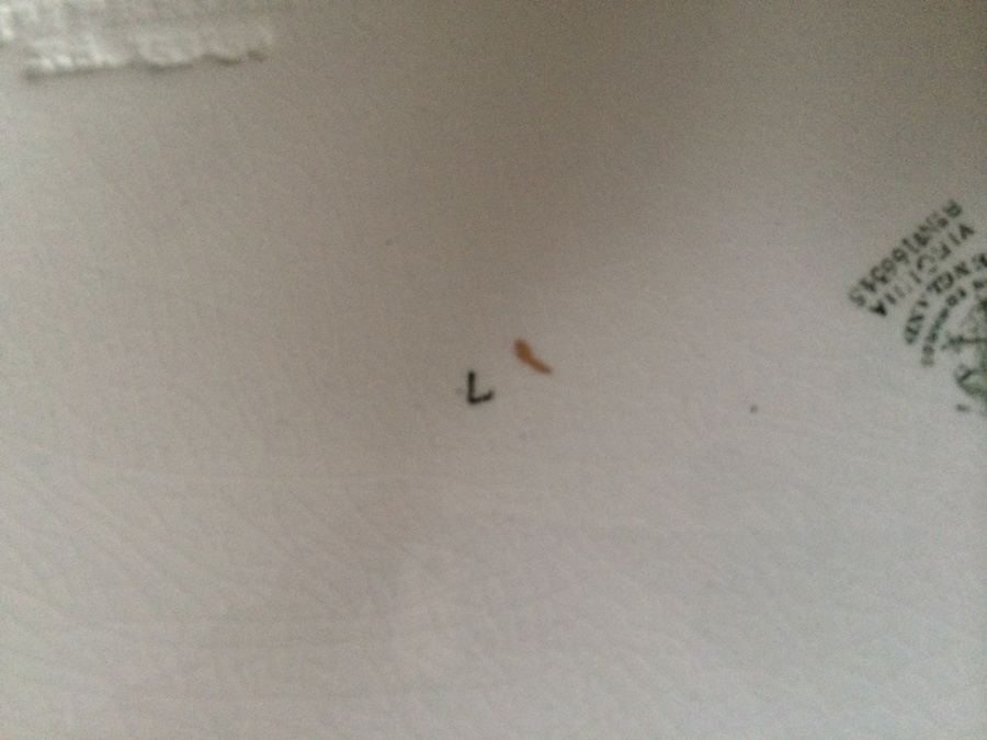 Vintage John Edwards England Platter [Photo 5]