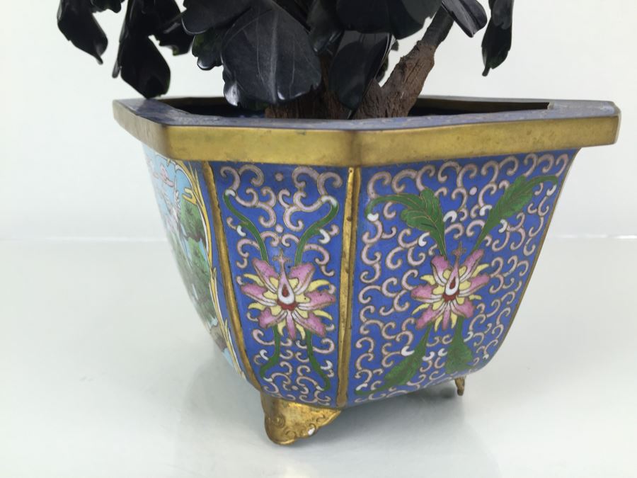 Large Jade Tree With Cloisonne Pot [Photo 16]