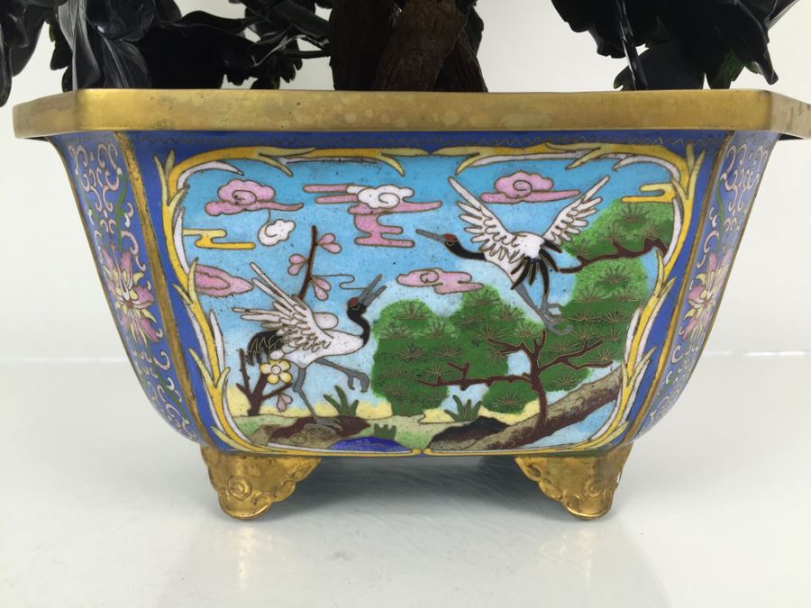 Large Jade Tree With Cloisonne Pot [Photo 5]