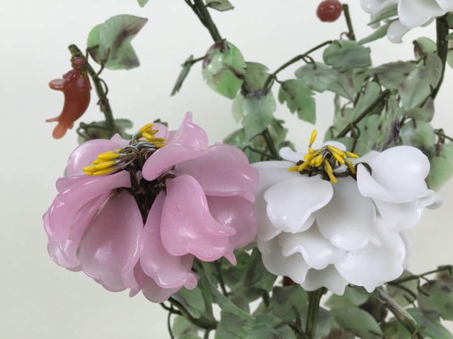 Large Jade Plant With Pot [Photo 9]