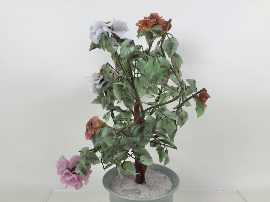 Large Jade Plant With Pot [Photo 14]