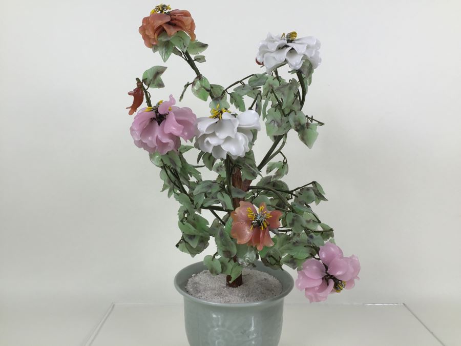 Large Jade Plant With Pot [Photo 18]