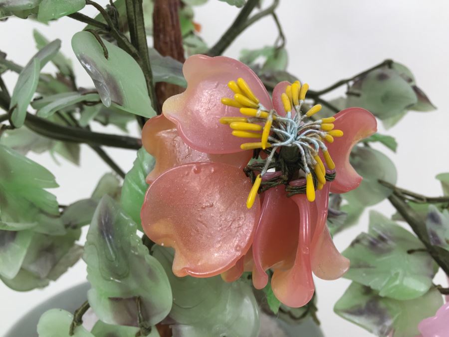 Large Jade Plant With Pot [Photo 8]