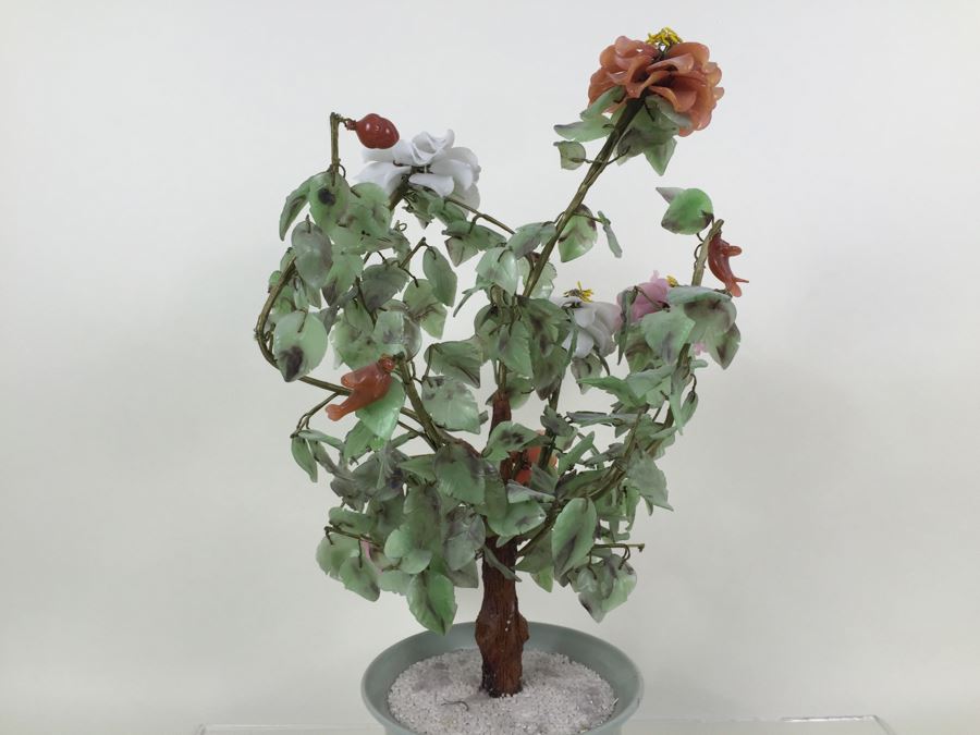 Large Jade Plant With Pot [Photo 16]