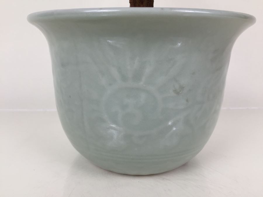 Large Jade Plant With Pot [Photo 3]