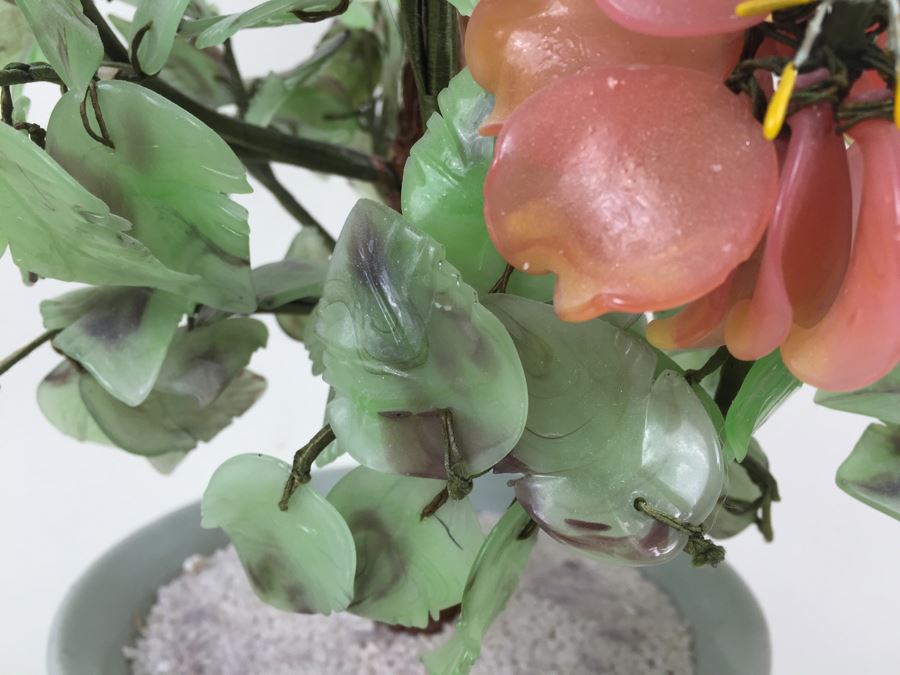 Large Jade Plant With Pot [Photo 7]