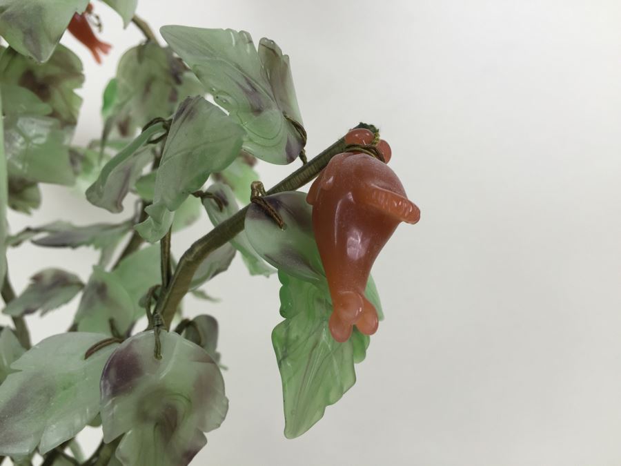 Large Jade Plant With Pot [Photo 15]